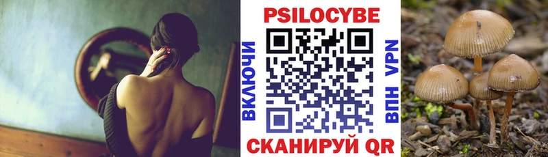 Псилоцибиновые грибы Psilocybine cubensis Белёв